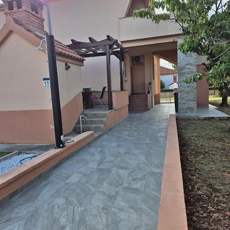 Leonardo 1 * ורסי