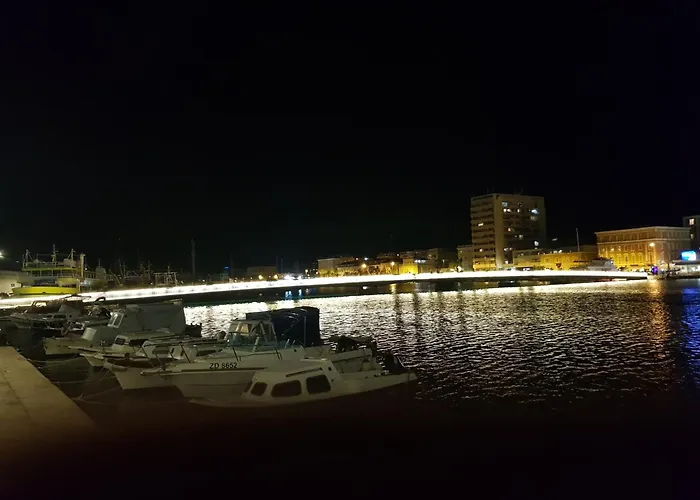 Leonardo 1 Vrsi